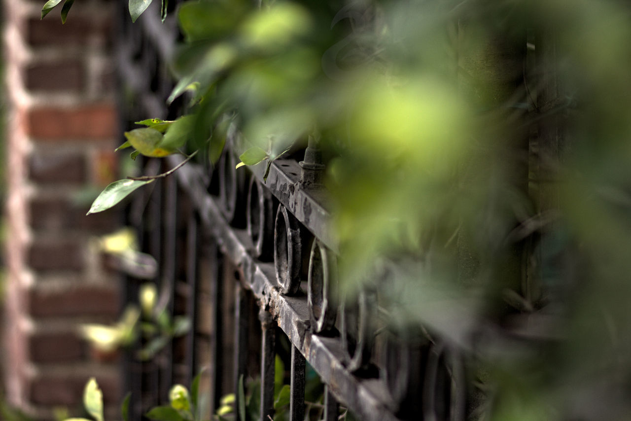 Ensigne Photography