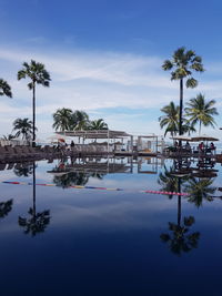 Palm trees reflecting on swimming pool