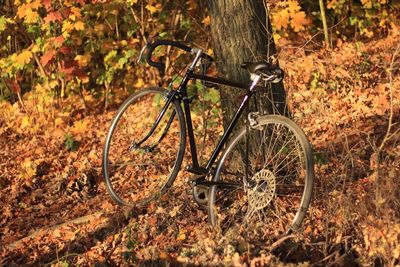 Close-up of bicycle