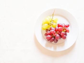 High angle view of flowers in bowl on table