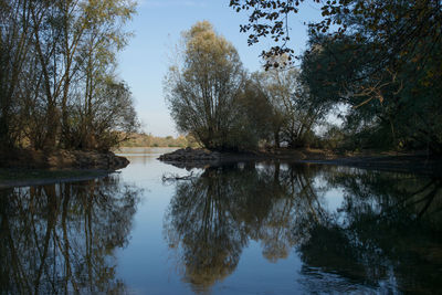 Reflection of trees in lake against sky