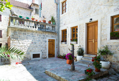 Potted plants outside house