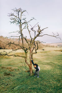 Bare tree on field against sky