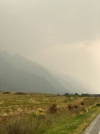 Scenic view of field against sky