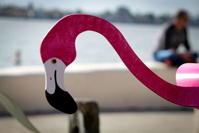 Close-up of swan with heart shape in lake