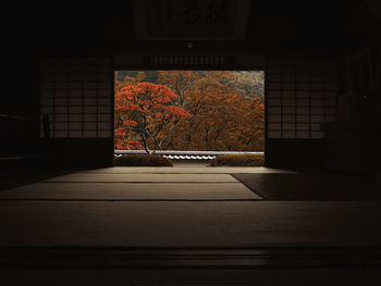 Trees seen through entrance during autumn