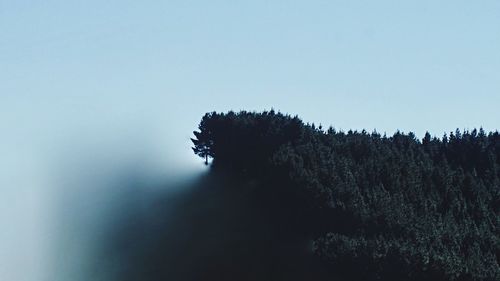 Close-up of silhouette tree against clear sky