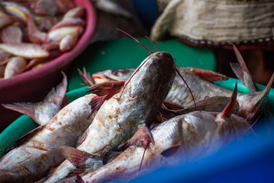 Close-up of fish for sale in market