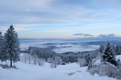 Scenic view of snow covered land against sky