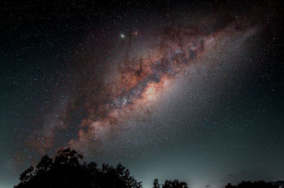 Low angle view of trees against sky at night