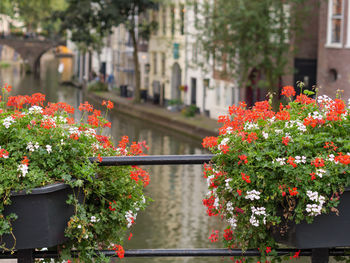 Utrecht in the netherlands