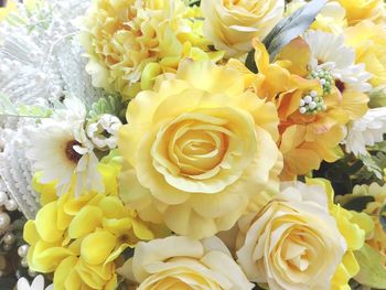 Macro shot of yellow flowers