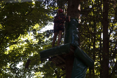 Low angle view of statue against trees