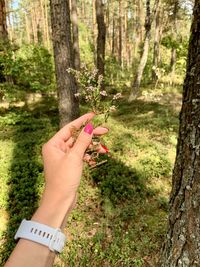 Cropped hand of woman holding tree trunk