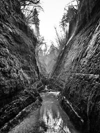 River flowing through rocks