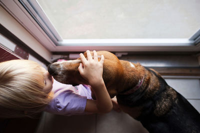 Overhead view of girl petting beagle while standing by window