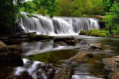 Scenic view of waterfall in forest