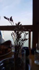 Close-up of potted plant on table