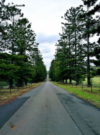 Empty road amidst trees against sky