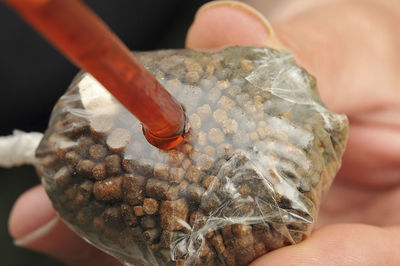 Close-up of hand holding food