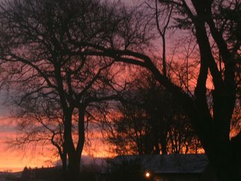 Silhouette bare trees on landscape against sky at sunset