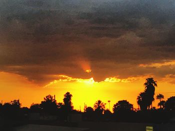 Silhouette trees against dramatic sky during sunset