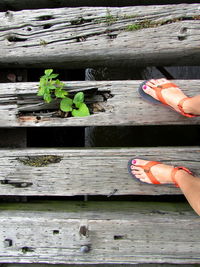 Low section of woman standing on wooden footbridge