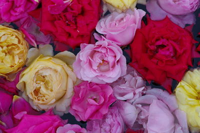 Full frame shot of bouquet