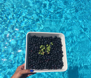 Cropped hand of woman holding plate with berries on swimming pool