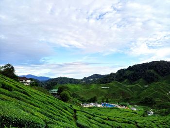 Scenic view of landscape against sky