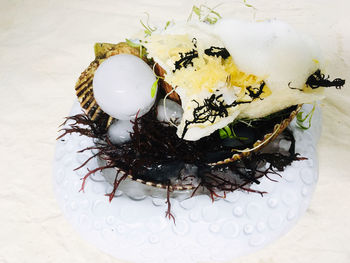 High angle view of white flowers in plate on table