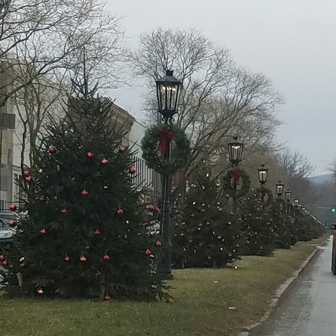 CHRISTMAS TREE IN FRONT OF BUILDING