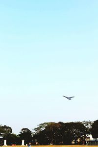 Cars on road against clear sky