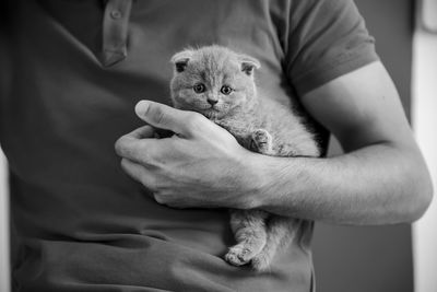 Midsection of person holding cat