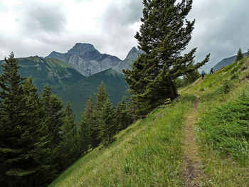 Scenic view of tree mountains against sky