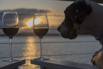 Close-up of red wineglasses on wooden handles by dog during sunset