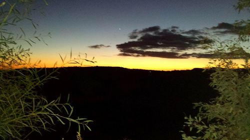 Silhouette of trees at sunset