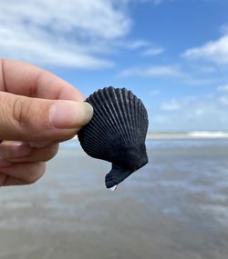 Close-up of hand holding sea against sky