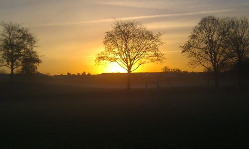 Silhouette trees on landscape against sky during sunset