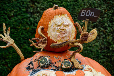 Close-up of pumpkin on field