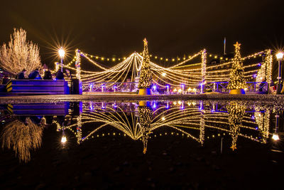 Illuminated ferris wheel at night