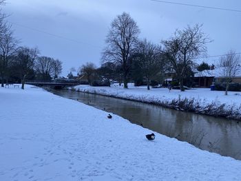 Snow covered plants by canal against sky