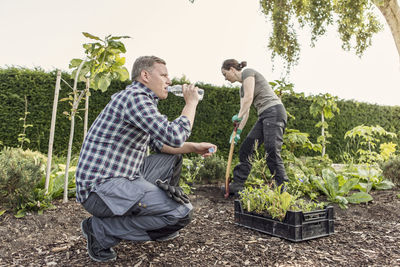 Side view of man drinking water while woman working at community garden