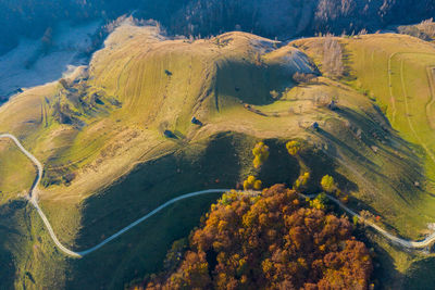 High angle view of trees on landscape