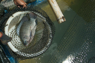 High angle view of man standing in water