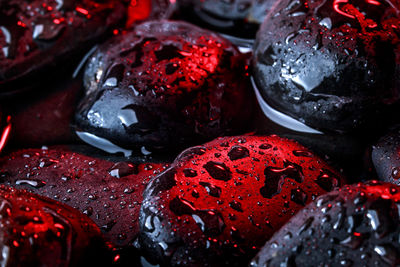 Close-up of wet beach stones