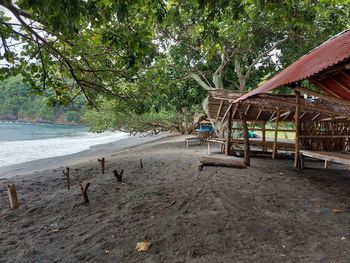 People on beach against trees