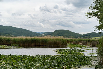 Scenic view of lake and mountains against sky