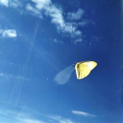 Close-up of insect on leaf against sky