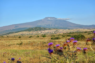 Scenic view of mountains against clear blue sky